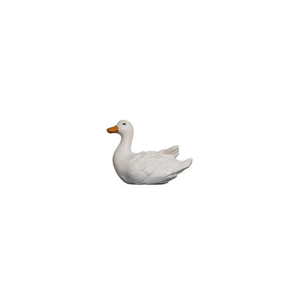 Pato nadando a la izquierda
