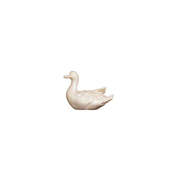 Pato nadando a la izquierda - Imagen 2