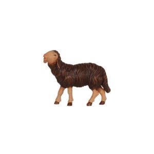 Oveja negra que come cabeza arriba