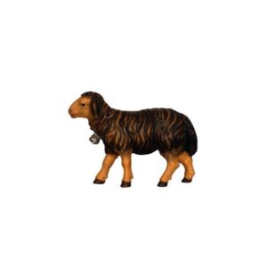 Oveja negra caminando con cencerro