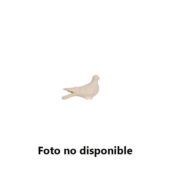 Paloma - Imagen 3