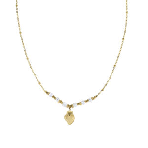 Collar de acero inoxidable – acabado dorado – Longitud 40 + 5 cm – ACCL818375G